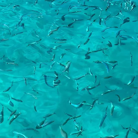 Botel Samos Bed & Boat Marzamemi
