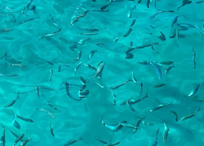 Hotel en barco Samos Bed & Boat Marzamemi